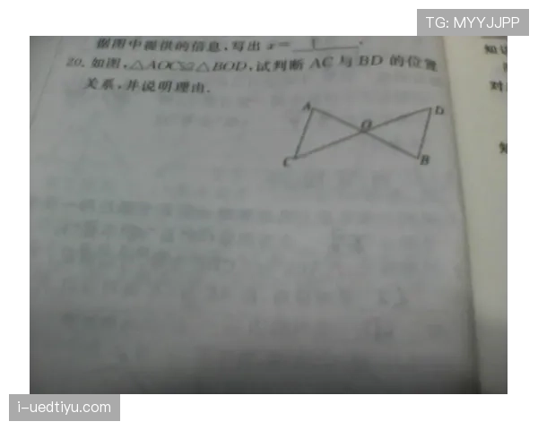 越位位置判定要点：身体部位计入标准（不含手臂）