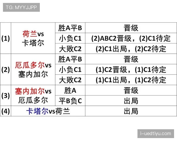 世界杯A组南非出线形势全面解读